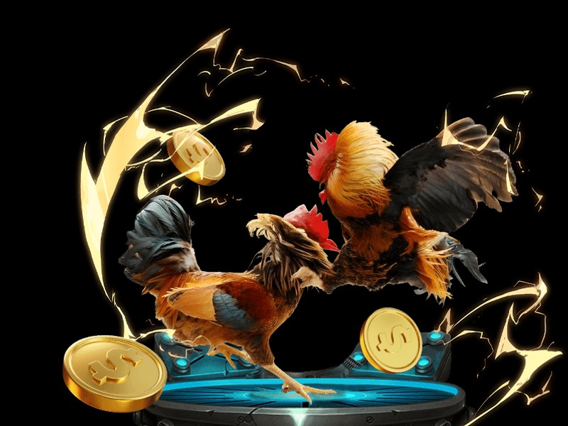 Biểu tượng chia sẻ trải nghiệm cá nhân